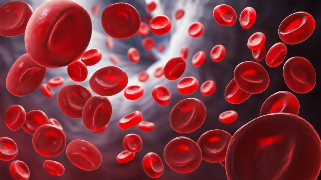 3d,illustration,of,red,blood,cell,in,blood,vessel. 3d,illustration,of,red,blood,cell,in,blood,vessel.
